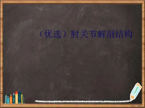 优选肘关节解剖结构演示ppt