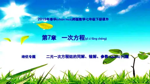 七年级数学下册 第7章 一次方程 培优专题 二元一次方程组的同解、错解、参数问题课件