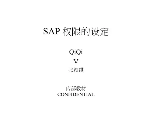 2020年sap 权限的设定参照模板