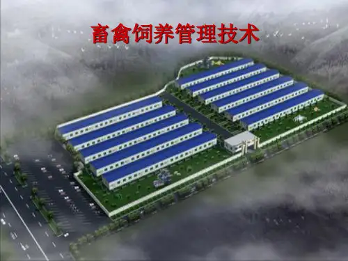 五良技术培训讲义-良法