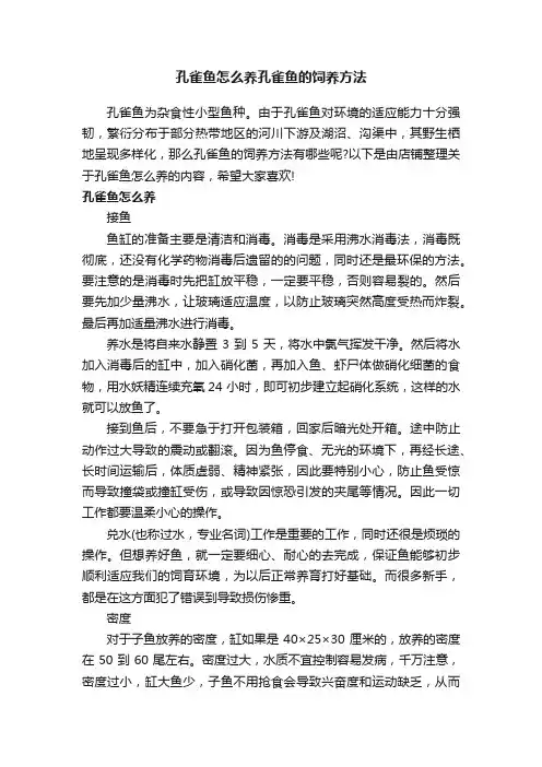 孔雀鱼怎么养孔雀鱼的饲养方法