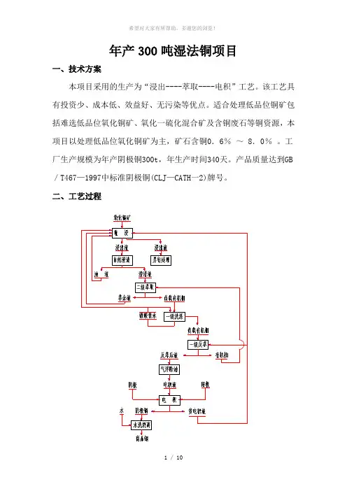 湿法炼铜项目文件