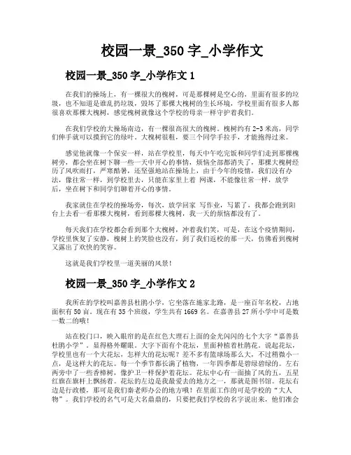 校园一景350字小学作文