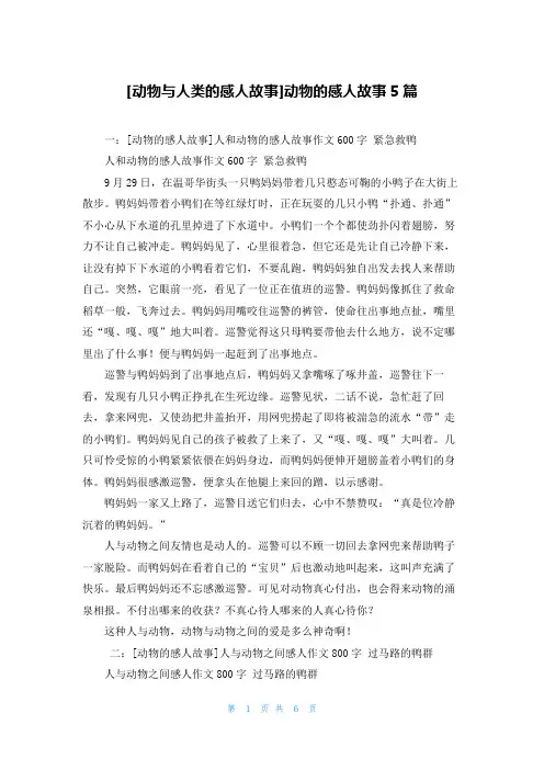 [动物与人类的感人故事]动物的感人故事5篇
