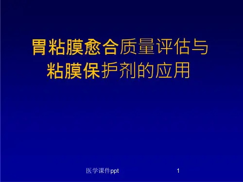 胃粘膜愈合质量评估与粘膜保护剂的应用课件