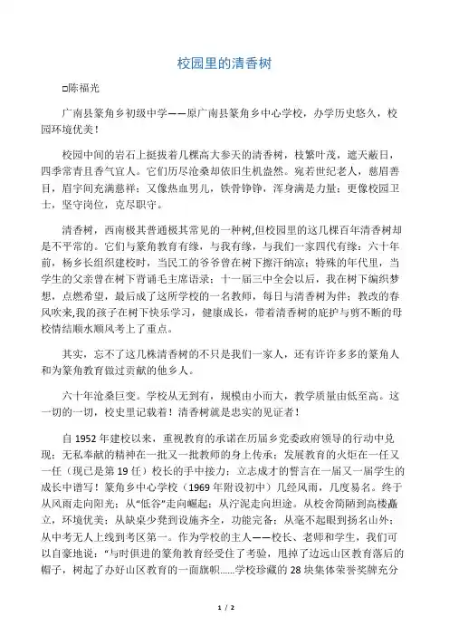 校园里的清香树