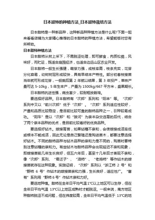 日本甜柿的种植方法_日本甜柿栽培方法