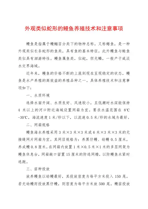 外观类似蛇形的鳗鱼养殖技术和注意事项