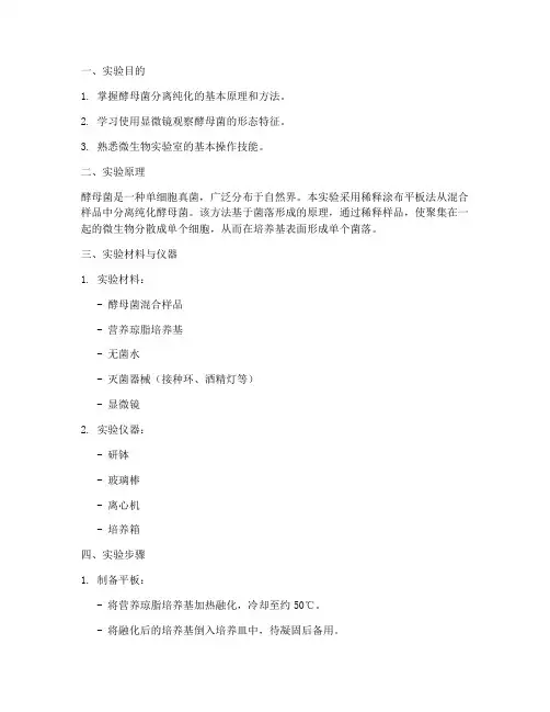 酵母分离纯化实验报告