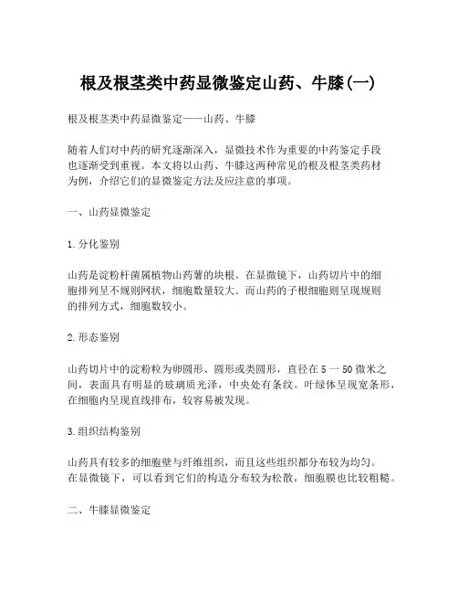 根及根茎类中药显微鉴定山药、牛膝(一)