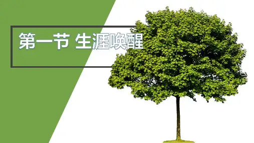 第一章生涯唤醒课件高中心理健康