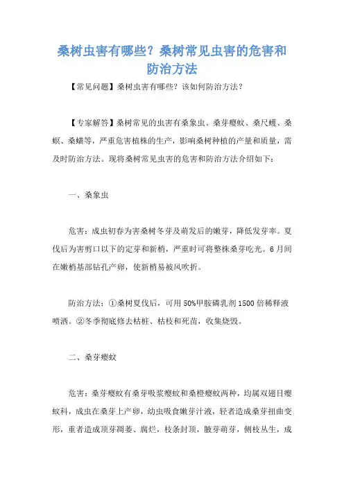 桑树虫害有哪些？桑树常见虫害的危害和防治方法