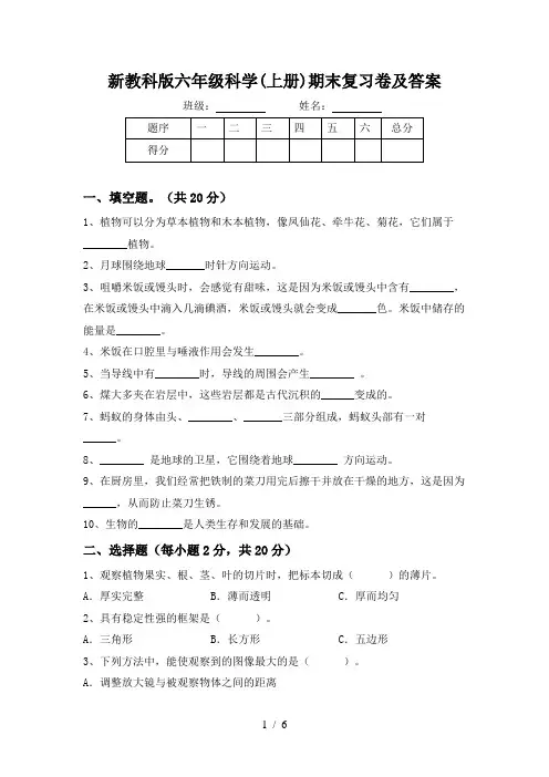 新教科版六年级科学(上册)期末复习卷及答案