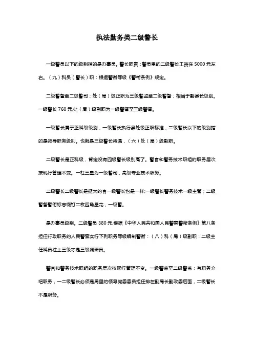 执法勤务类二级警长