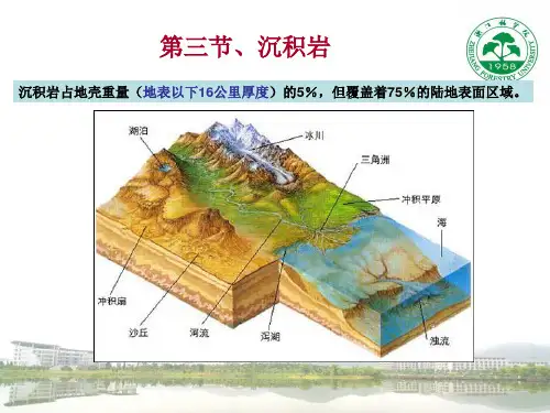 1土壤地质学基础-沉积岩和变质岩