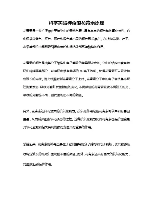 科学实验神奇的花青素原理