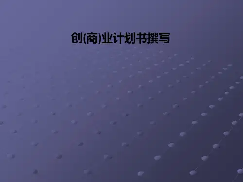 创(商)业计划书撰写PPT课件