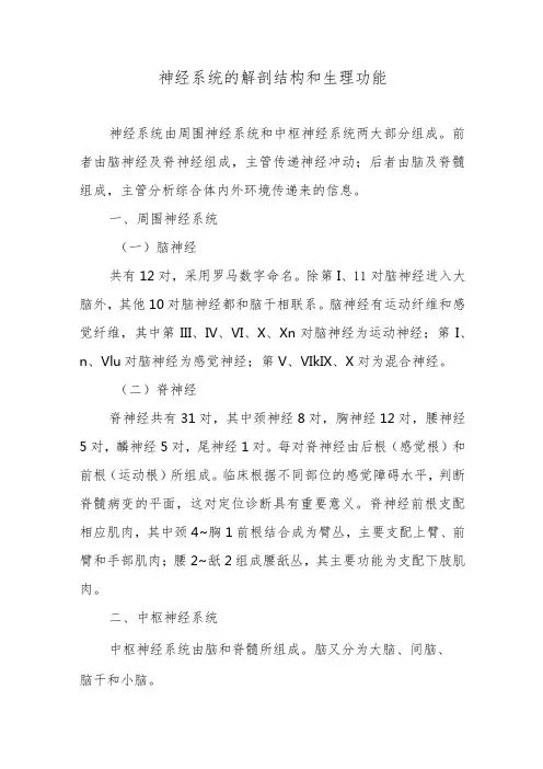 神经系统的解剖结构和生理功能
