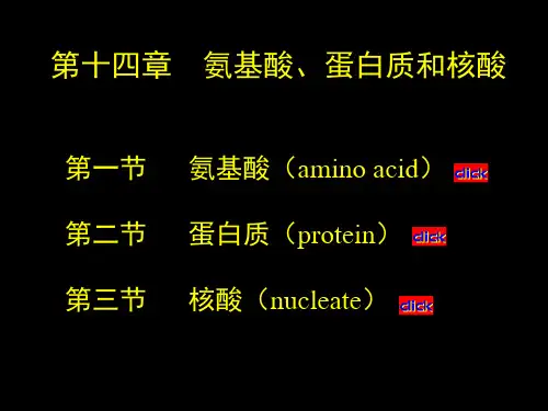 氨基酸专业知识