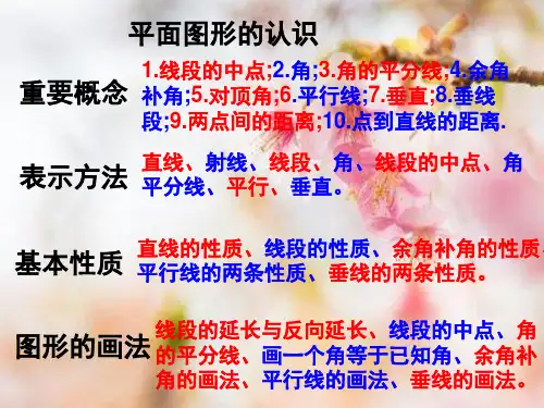 平面图形的认识PPT精品课件