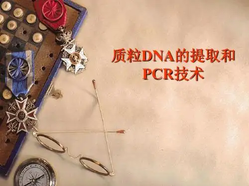 质粒DNA的提取和PCR技术