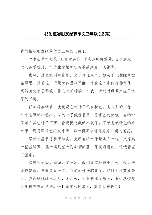 我的植物朋友绿萝作文三年级(12篇)