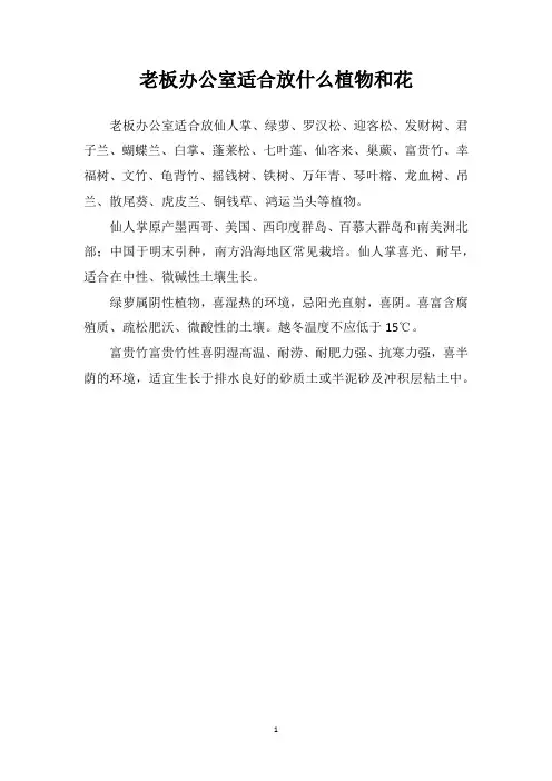 老板办公室适合放什么植物和花