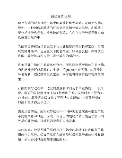 酸奶发酵 原理