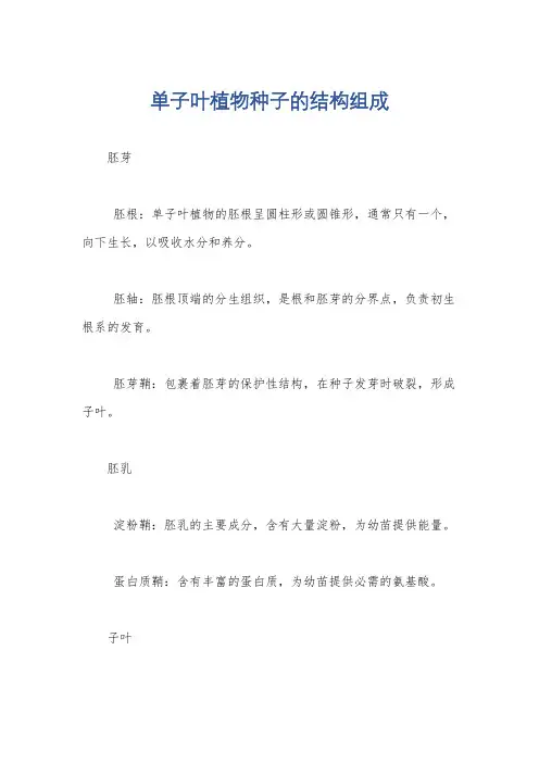 单子叶植物种子的结构组成