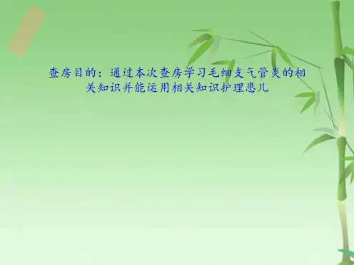 毛细支气管炎的护理查房(共28张PPT)