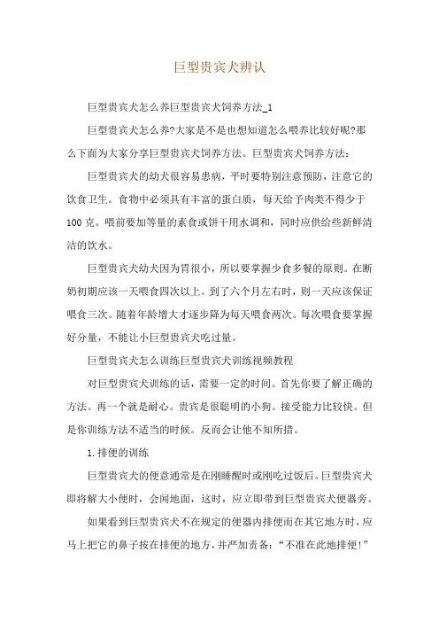 巨型贵宾犬辨认