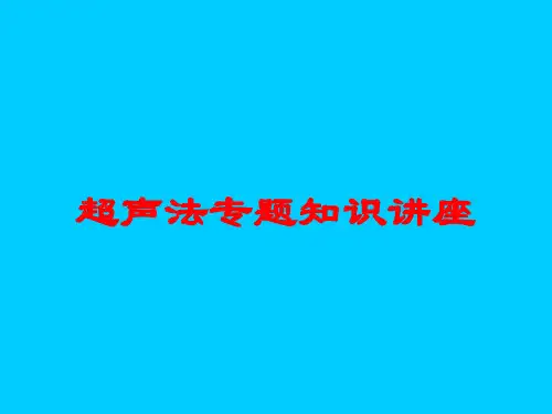 超声法专题知识讲座培训课件