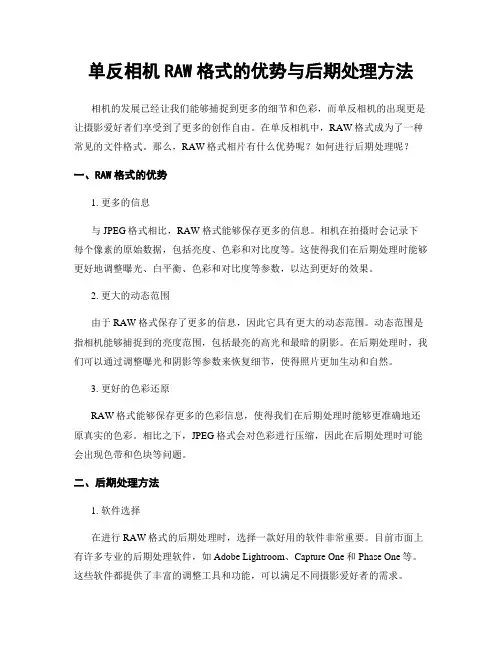 单反相机RAW格式的优势与后期处理方法