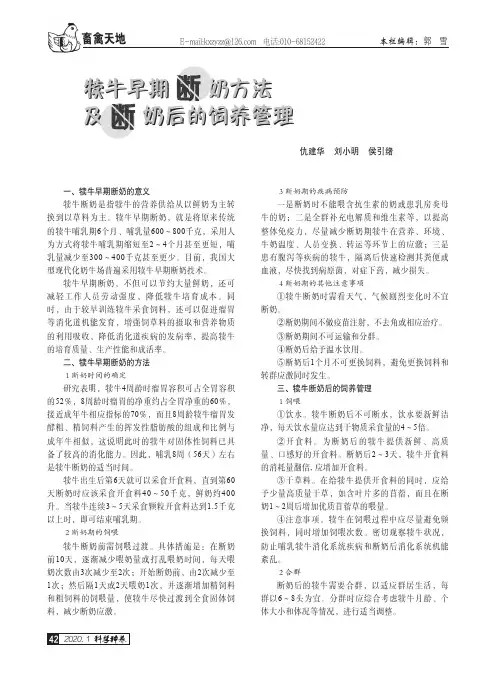 犊牛早期断奶方法及断奶后的饲养管理