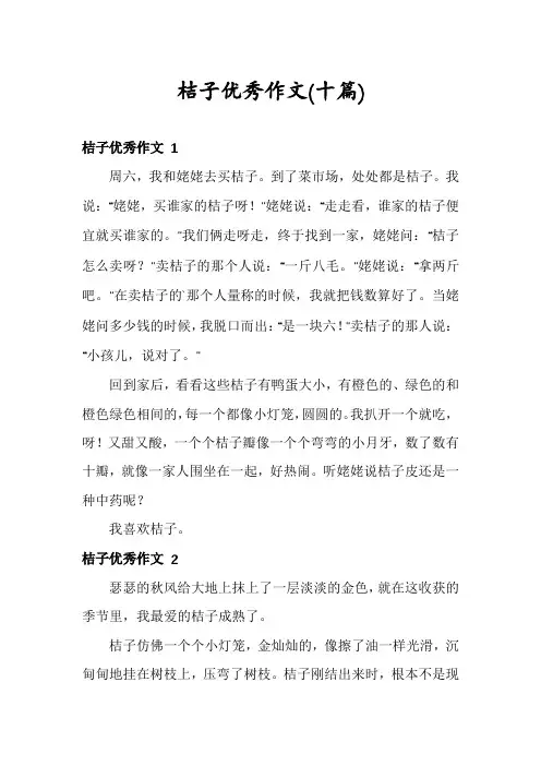 桔子优秀作文(十篇)