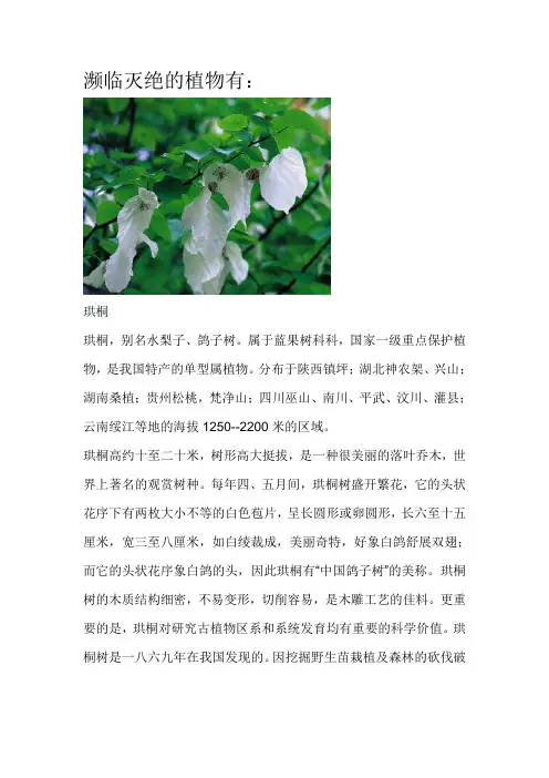 中国濒危动植物