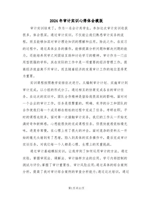 2024年审计实训心得体会模版(六篇)