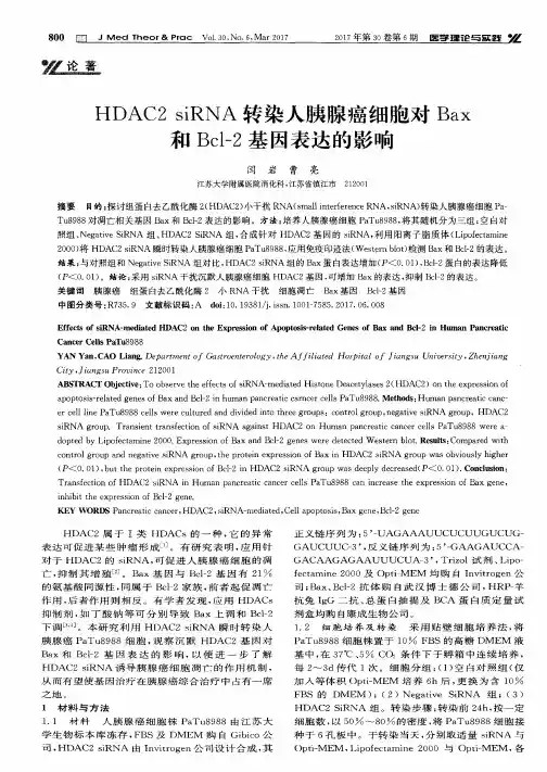 HDAC2 siRNA转染人胰腺癌细胞对Bax和Bcl-2基因表达的影响