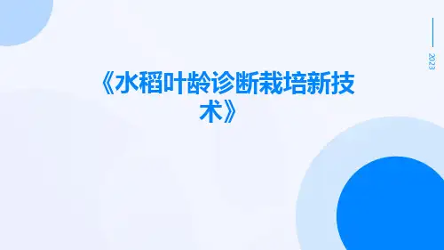水稻叶龄诊断栽培新技术