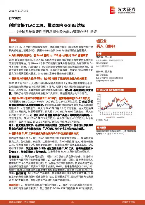 银行业：《全球系统重要性银行总损失吸收能力管理办法》点评：创新合格TLAC工具，推动国内G-SIBs