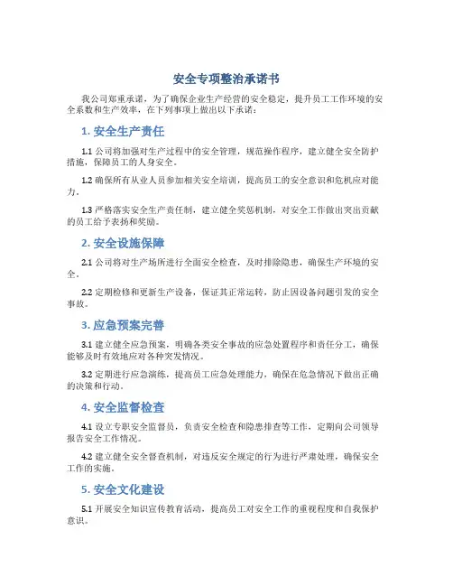 安全专项整治承诺书