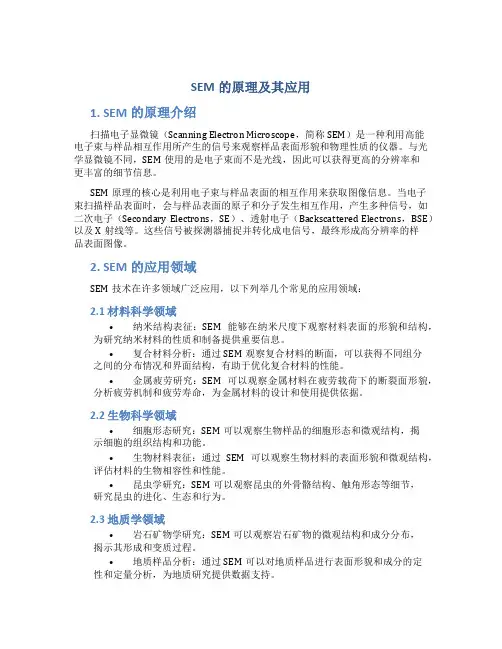 SEM的原理及其应用