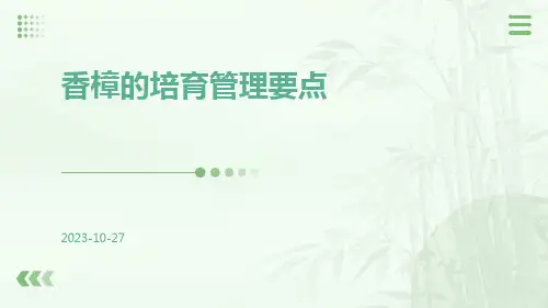 香樟的培育管理要点