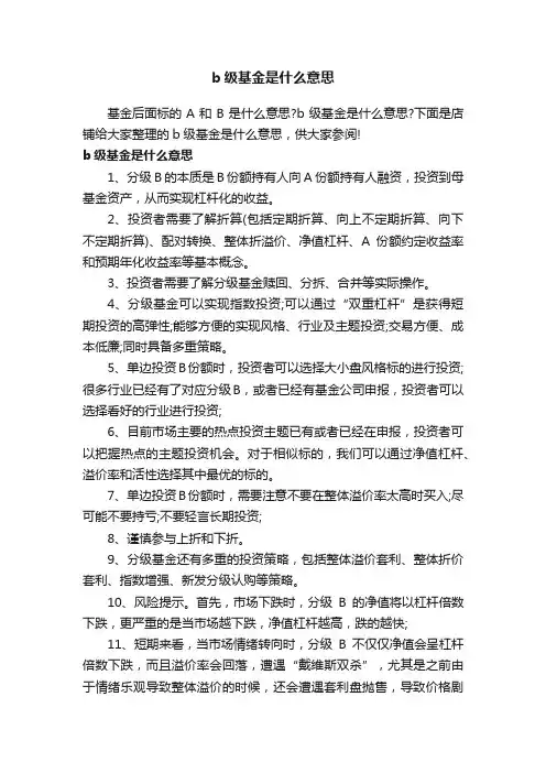 b级基金是什么意思