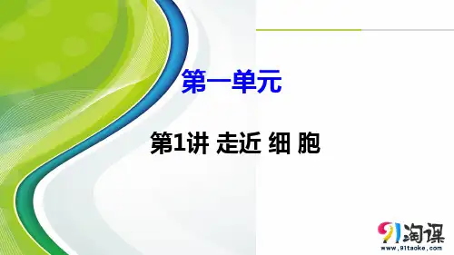 课件3：第1讲 走近细胞