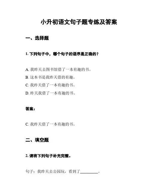 小升初语文句子题专练及答案