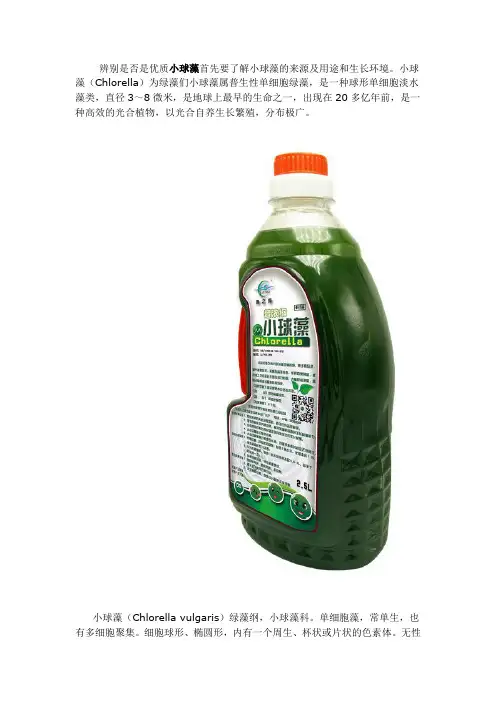 怎么样判断小球藻真假!