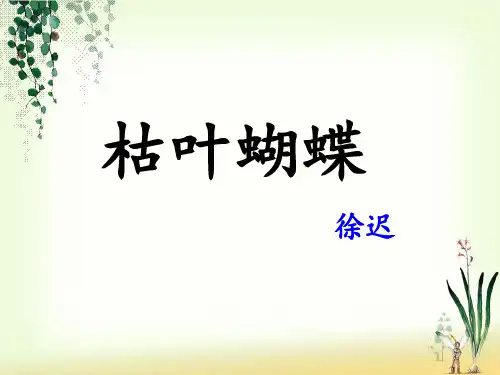 初中语文鲁教版七上课件24.《枯叶蝴蝶》课件