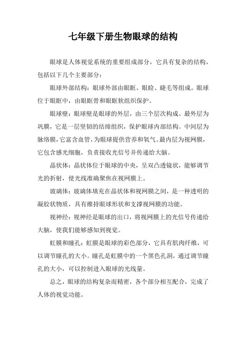 七年级下册生物眼球的结构