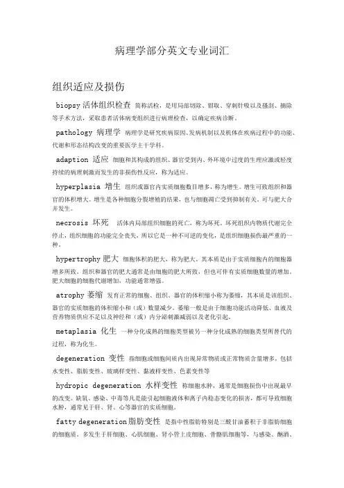 病理学部分英文专业词汇1